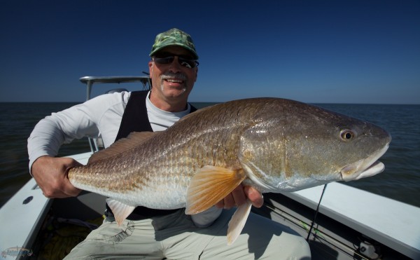 Fly Fishing Louisiana Redfish