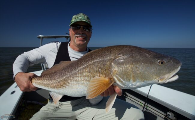 Fly Fishing Louisiana Redfish