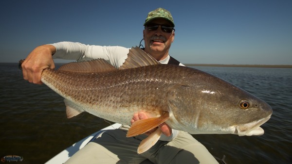 Fly Fishing Louisiana Redfish