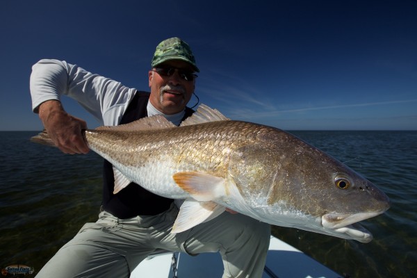 Fly Fishing Charters in Louisiana