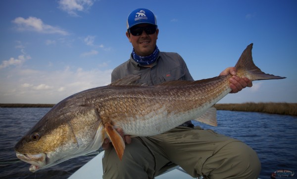 Fly Fishing September Redfish in Louisiana