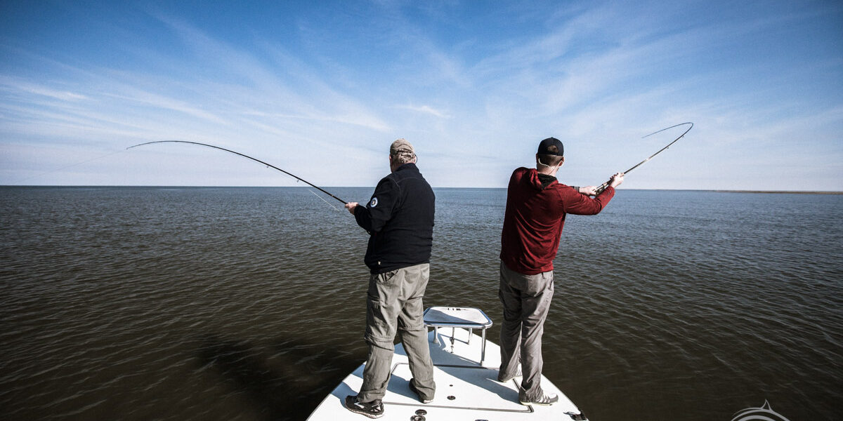 Louisiana Fly Fishing Fly Fishing Louisiana