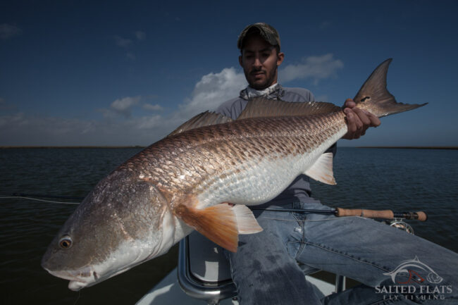Fly Fishing Louisiana Redfish