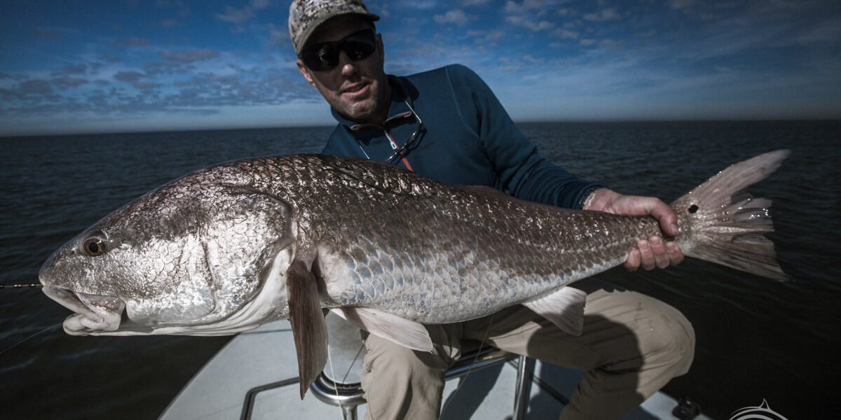 Louisiana Bull Redfish Fly Fishing