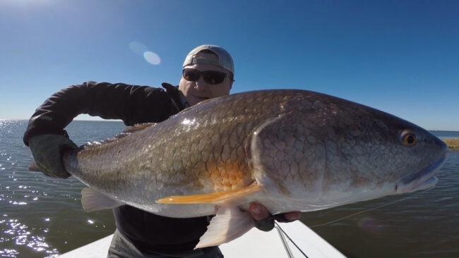 Louisiana Redfish Fly Fishing Guide