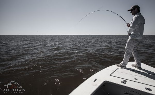 Louisiana Bull Redfish Fly Fishing