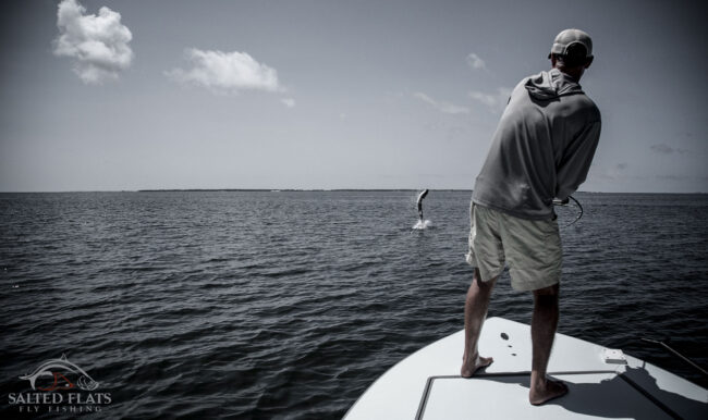 Fly Fishing Panhandle tarpon