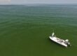 Louisiana Fly Fishing Guide