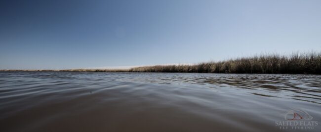 Louisiana Marsh FlyFishing