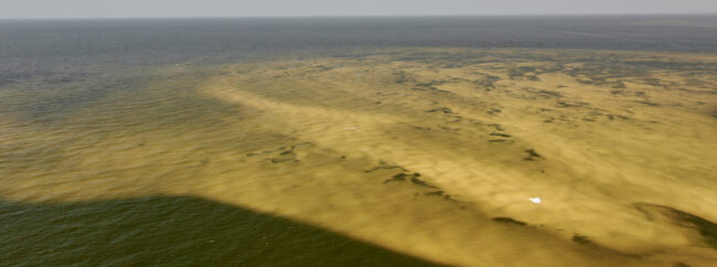 Apalachicola and Panhandle FLy Fishing Tarpon Season