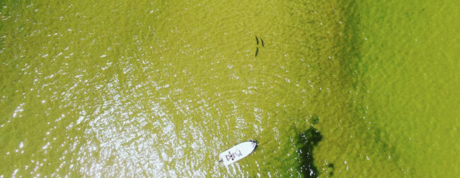 Fly Fishinhg Tarpon Florida Panhandle